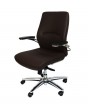 Axel Mid Back Executive Chair In Brown Colour